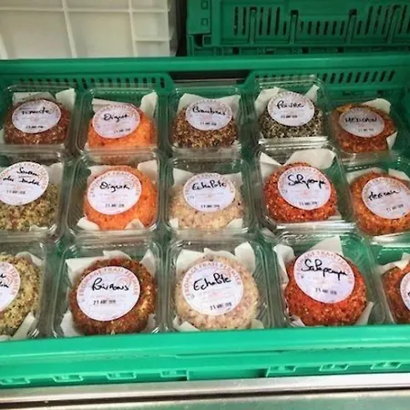 Kamp alanı Zecamping 3 Pet Friendly En Bord De Riviere Avec Une Plage De Sable *