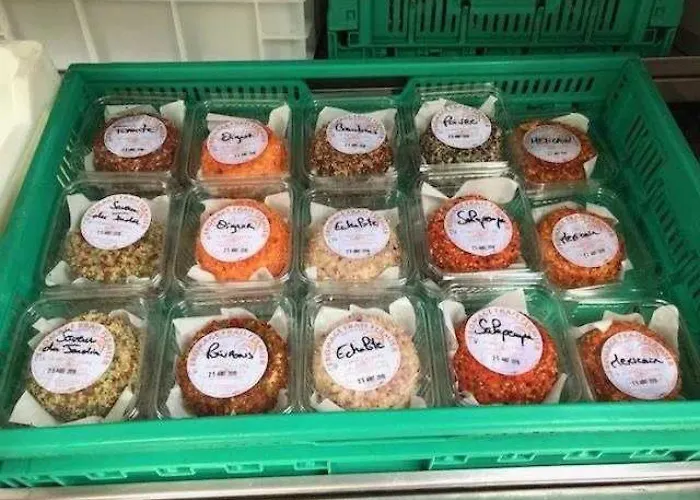 Zecamping 3 Pet Friendly En Bord De Riviere Avec Une Plage De Sable