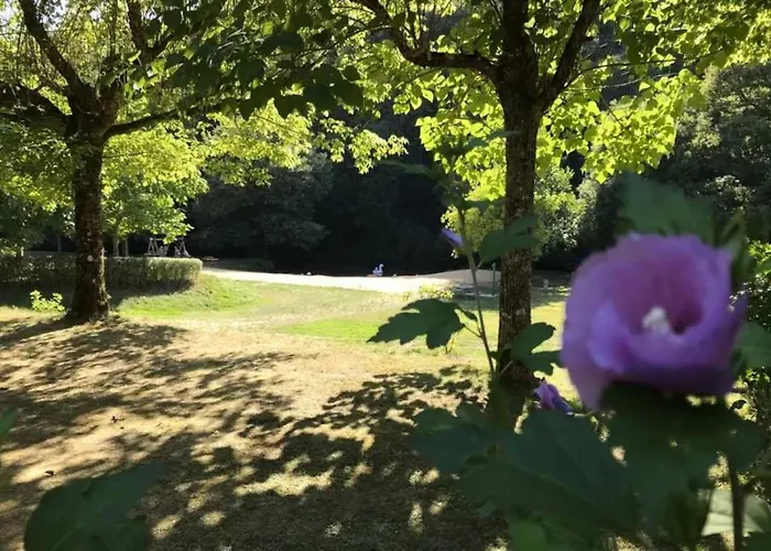 Zecamping 3 Pet Friendly En Bord De Riviere Avec De Sable Kemp Jumilhac-le-Grand