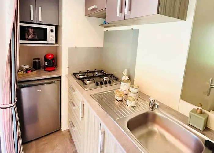 Zecamping 3 Pet Friendly En Bord De Riviere Avec Une Plage De Sable Kamp alanı Jumilhac-le-Grand