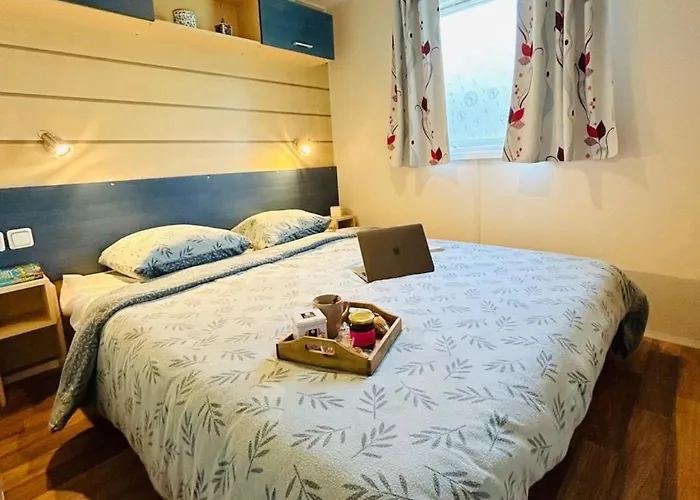 Zecamping 3 Pet Friendly En Bord De Riviere Avec De Sable Kemp *